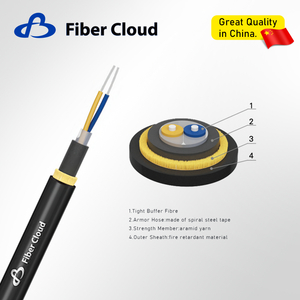 Гибкий шланг из нержавеющей стали, бронированный кабель (GJFJKH) Волоконно-оптический кабель